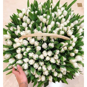 Большая корзина 301 белый тюльпан