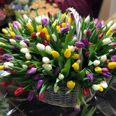 101 разноцветных тюльпанов в корзине