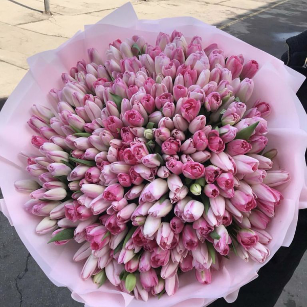 Букет 151 розовый тюльпан с оформлением