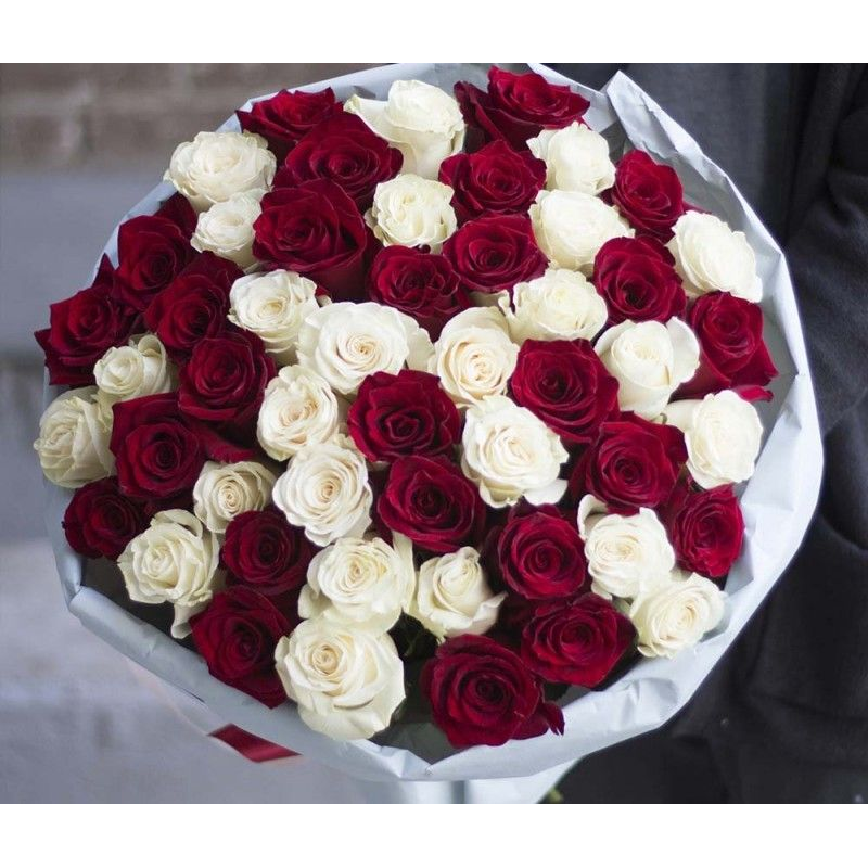 51 красная и белая роза в упаковке (70см)