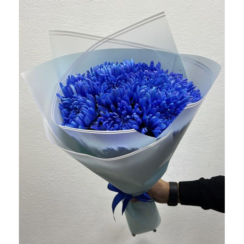 Букет 15 веток одноголовой синей хризантемы в упаковке