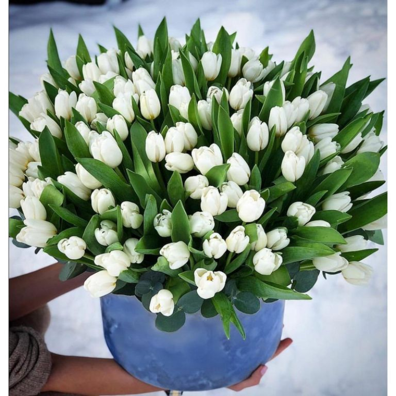 Большая коробка 151 белый тюльпан