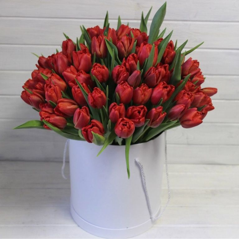 Коробка 59 красных тюльпанов с оформлением