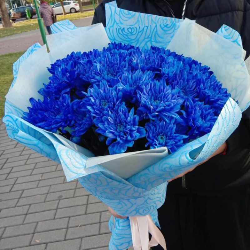 Букет 11 веток синей хризантемы с упаковкой