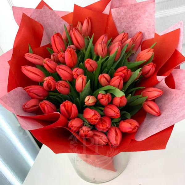 Букет 59 красных тюльпанов в упаковке