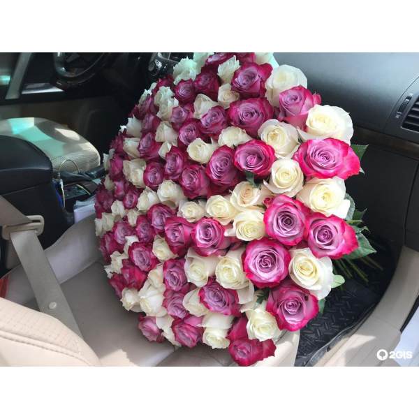 Букет 101 белая и розовая роза с лентами (70см)