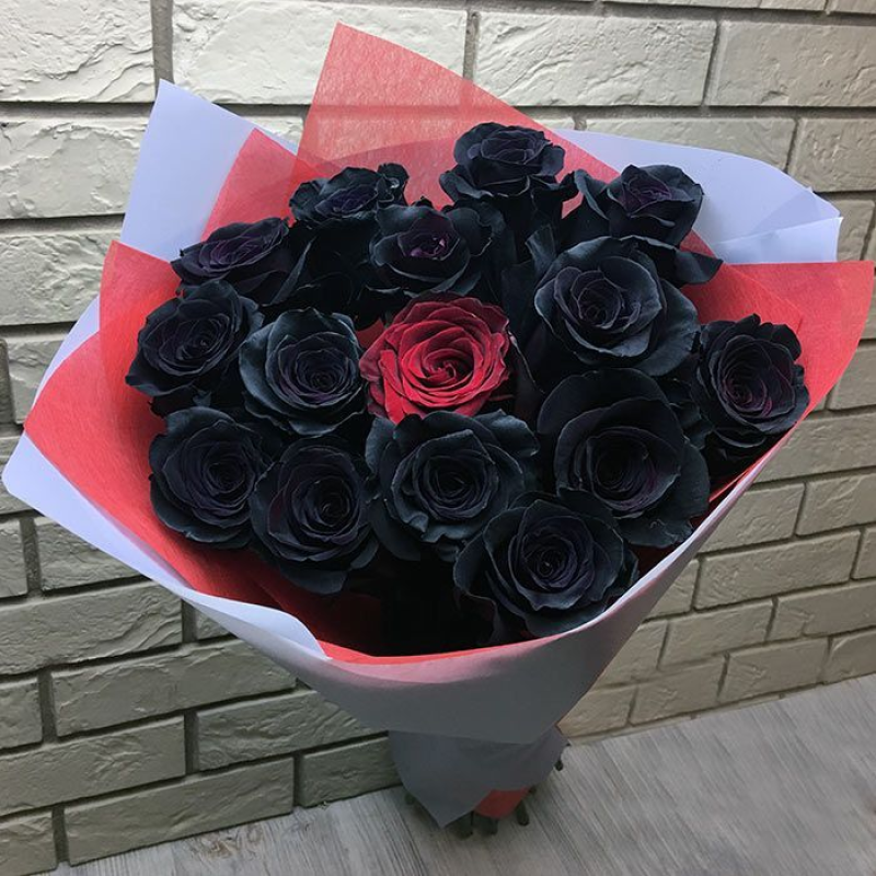 Букет 15 черных роз с 1 красной в упаковке