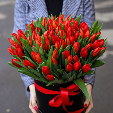 Черная коробка 79 красных тюльпанов