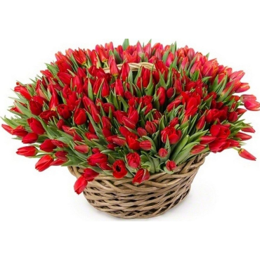 Корзина 301 красный тюльпан
